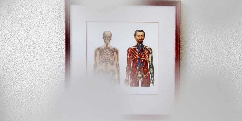 гастроэнтеролог